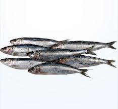 Sardinha